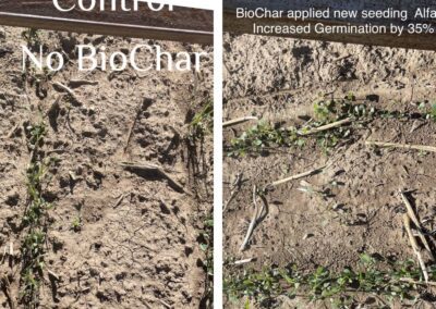 biochar