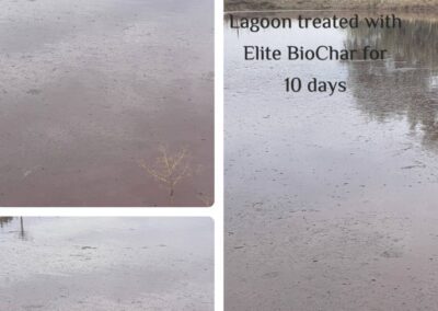 lagoon elite biochar